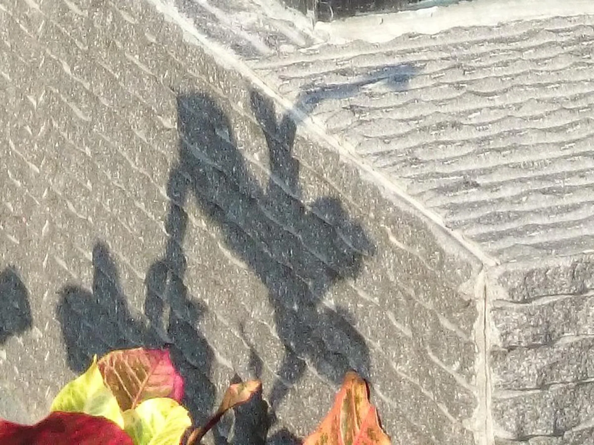 Sony Z1, 20MP, 100% crop.