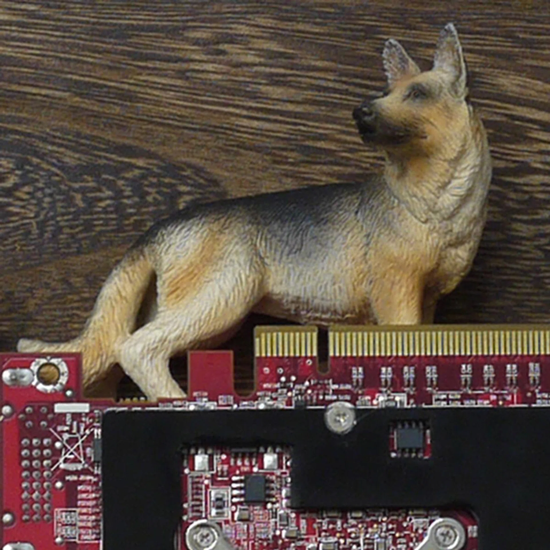 Shot at ISO200. Click for full image.