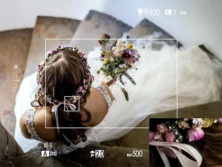 The Hybrid EVF gives you additional shooting information in real-time.