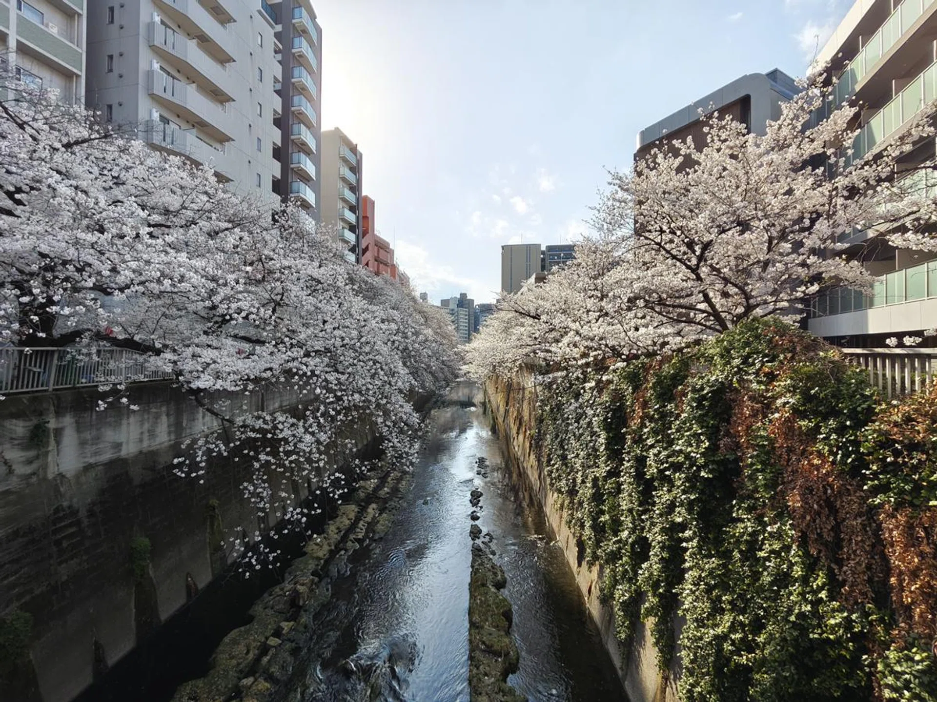 Ultrawide. Photo: HWZ.