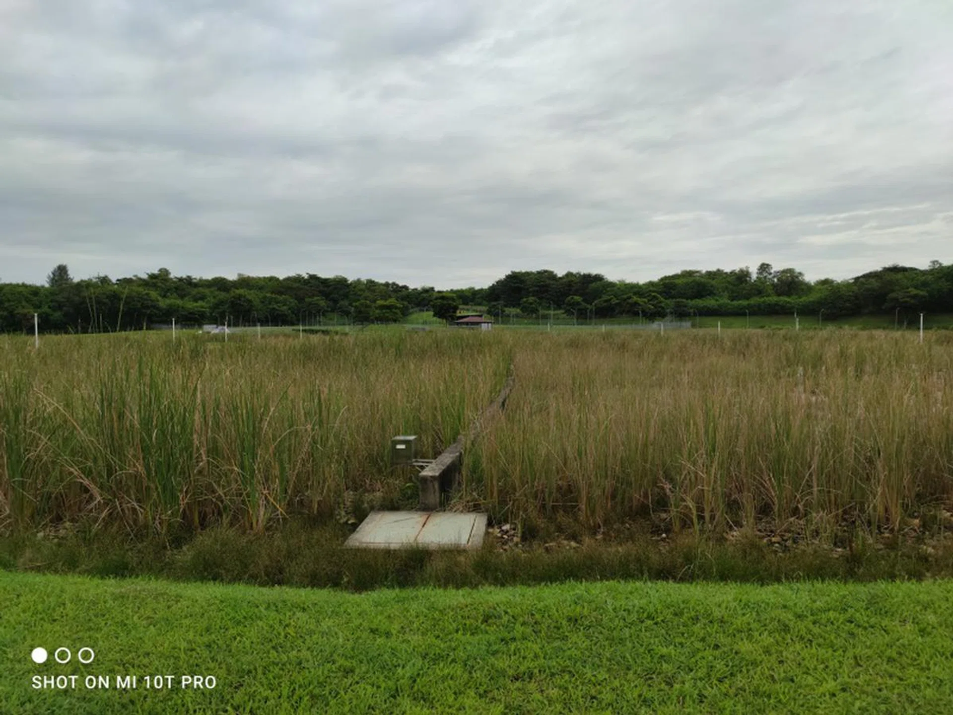 Click to see the 108MP photo in full glory (if you don't mind a 30MB image file).