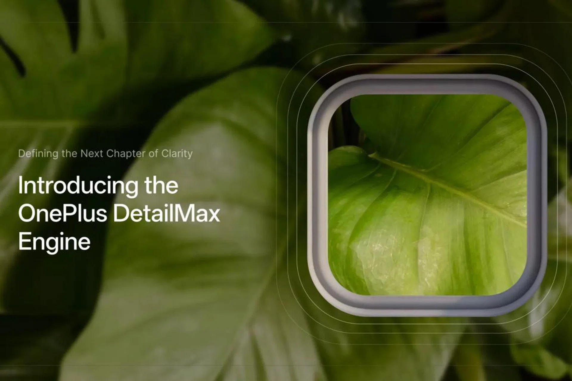 OnePlus’ own imaging engine, the DetailMax. 