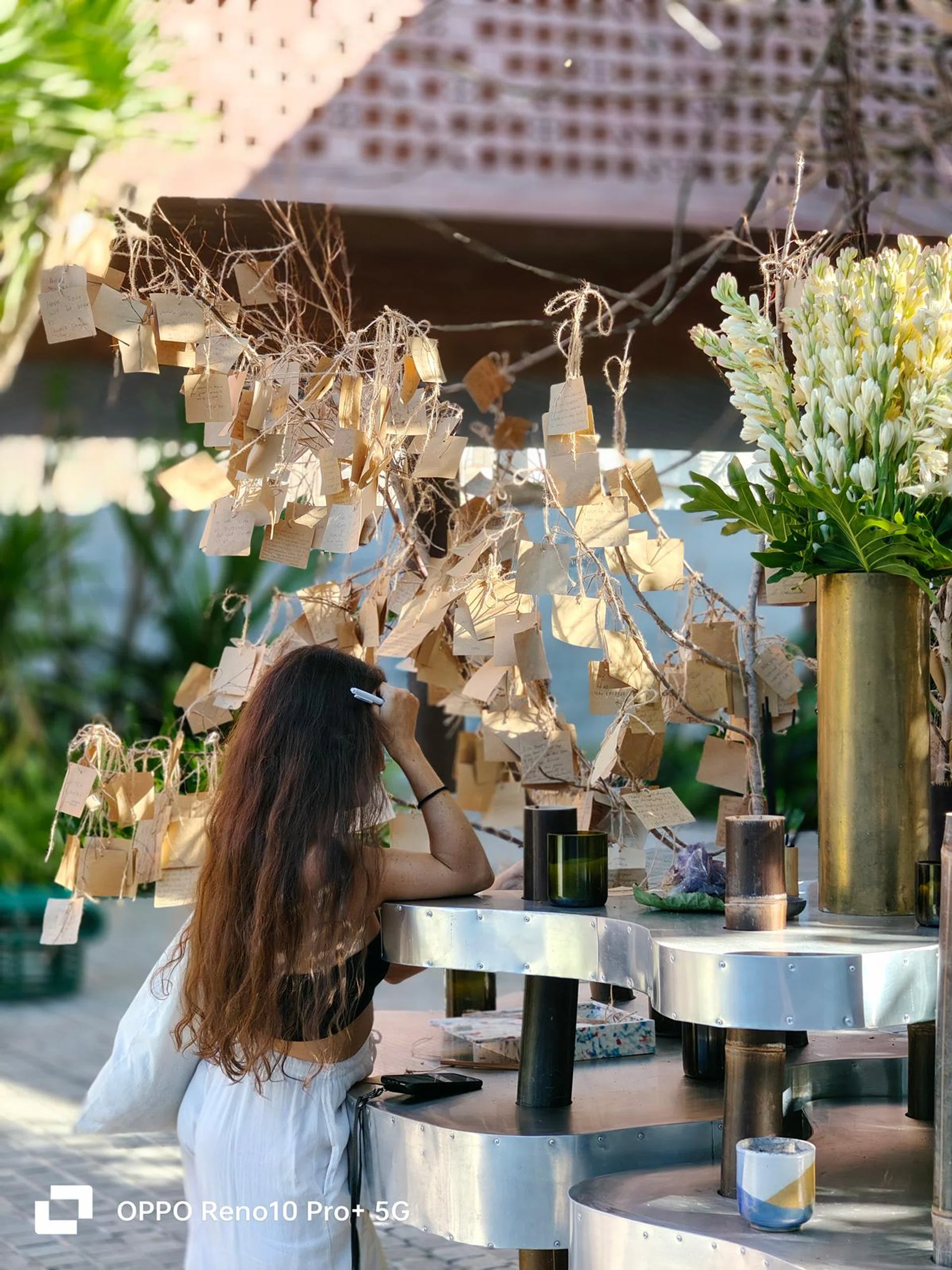 Telephoto camera, 3x optical zoom.