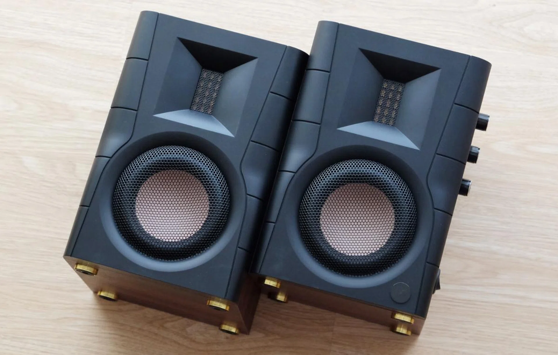 The D100 is one of Swans' most affordable speakers.