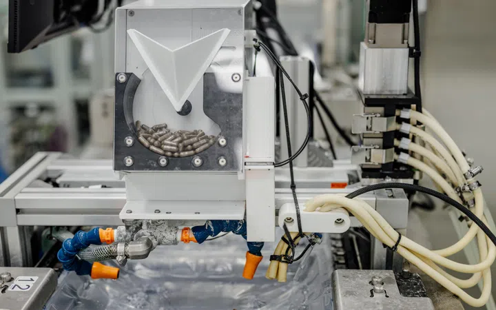 Google Debug Wolbachia mosquito suppression technology upgrade