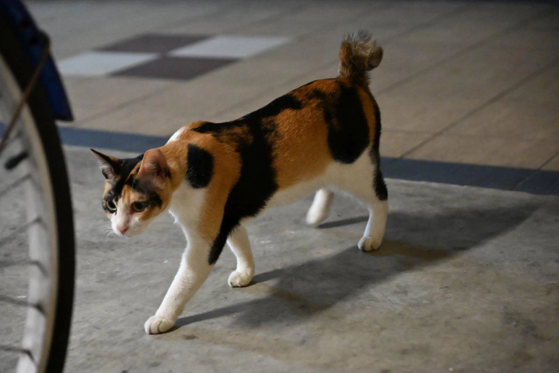 Shooting info: 77mm at f/4, 1/125s, ISO 12800