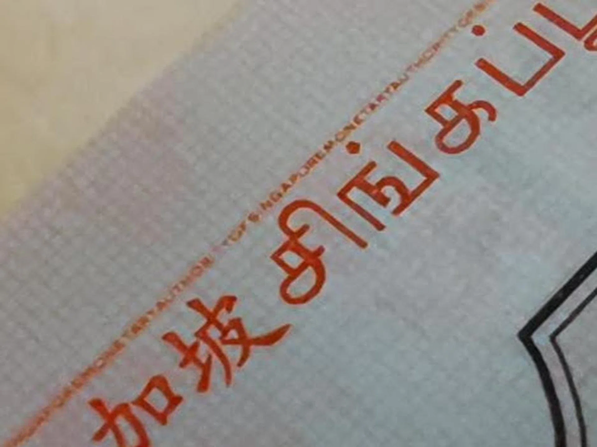 The so-called macro camera is actually less detailed...