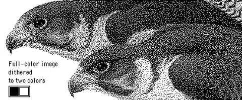 By using dithering, black, and white pixels are used to give the image an illusion of having gray pixels. The image is also given more color depth with shades of gray as opposed to the image being flat shades of black, white, and gray. (Source: Web Style Guide)