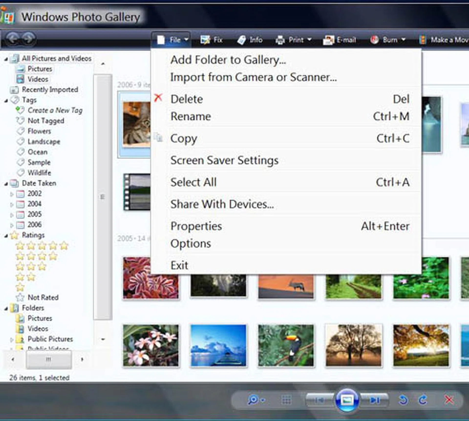 An example of the larger font size in Windows Photo Gallery.
