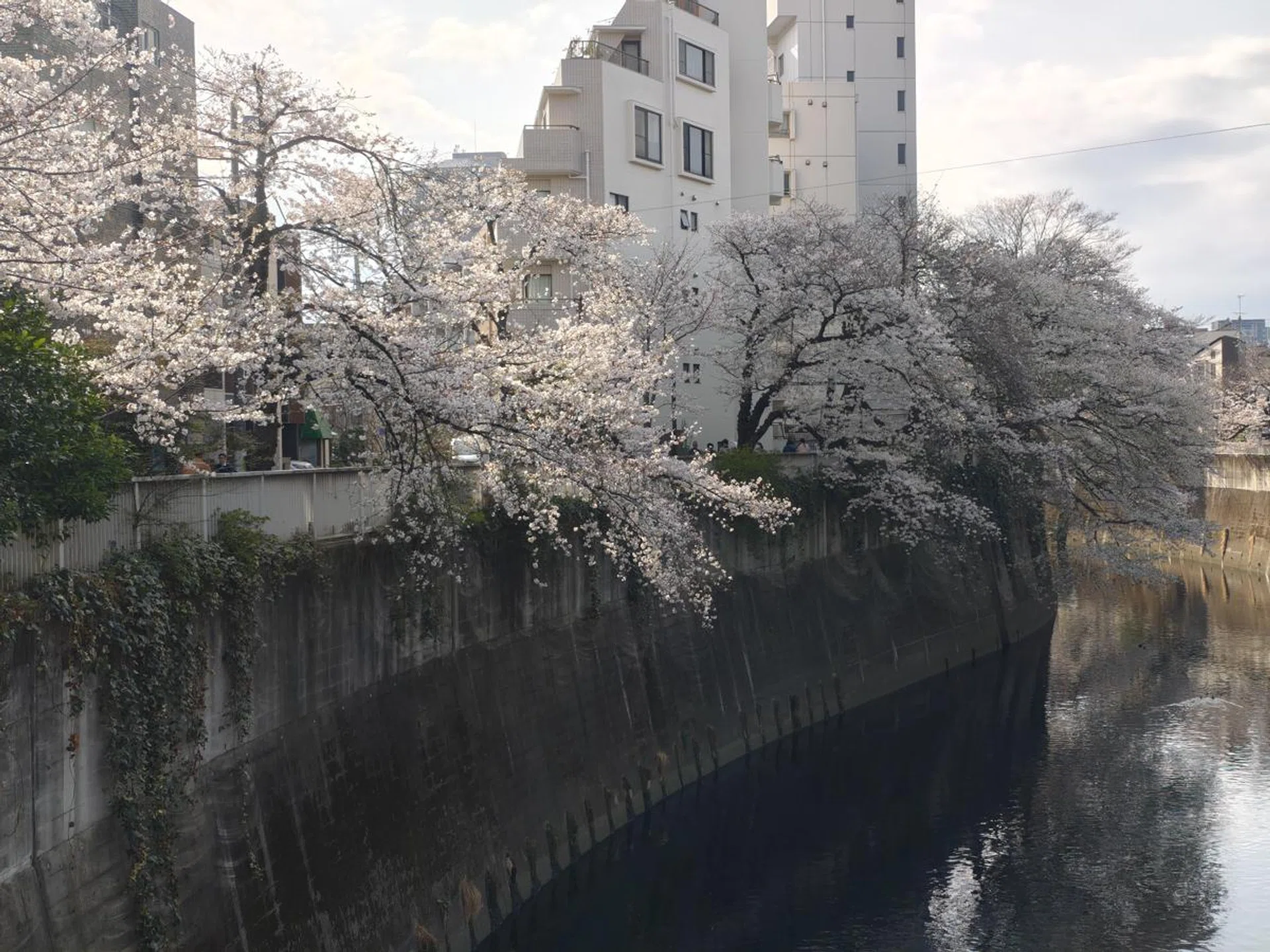 2x digital zoom. Photo: HWZ.