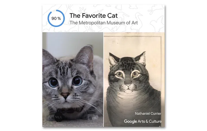 Google blog's example of the famous @nala_cat (Instagram) with 4.3 million followers. Apparently, it matches a lithographic piece titled The Favourite Cat.