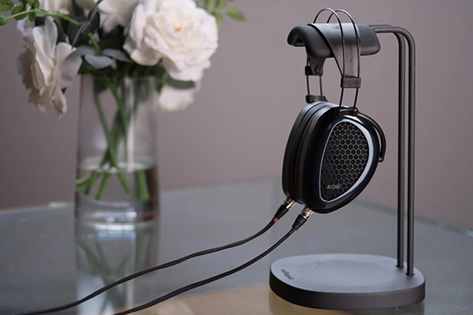 (Image source: MrSpeakers)