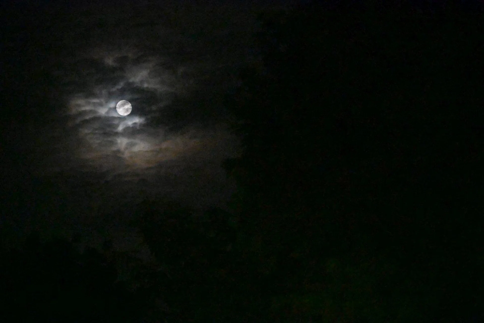 120mm at f/4, 1/800s, ISO 64000. Image Source: HWZ