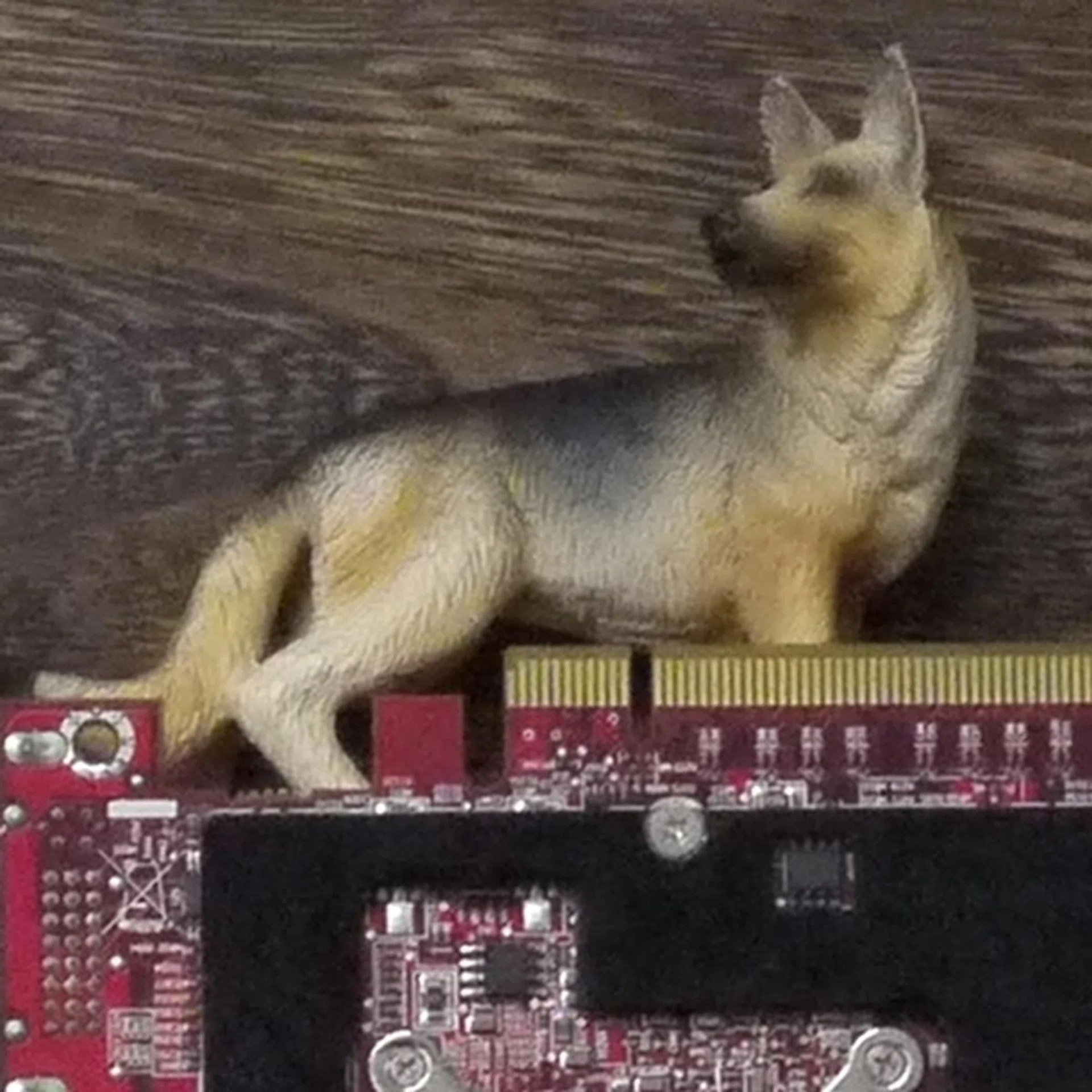 Shot at ISO1600. The details are starting to blur, but we'd still shoot at this setting in a cinch. Click for full image.