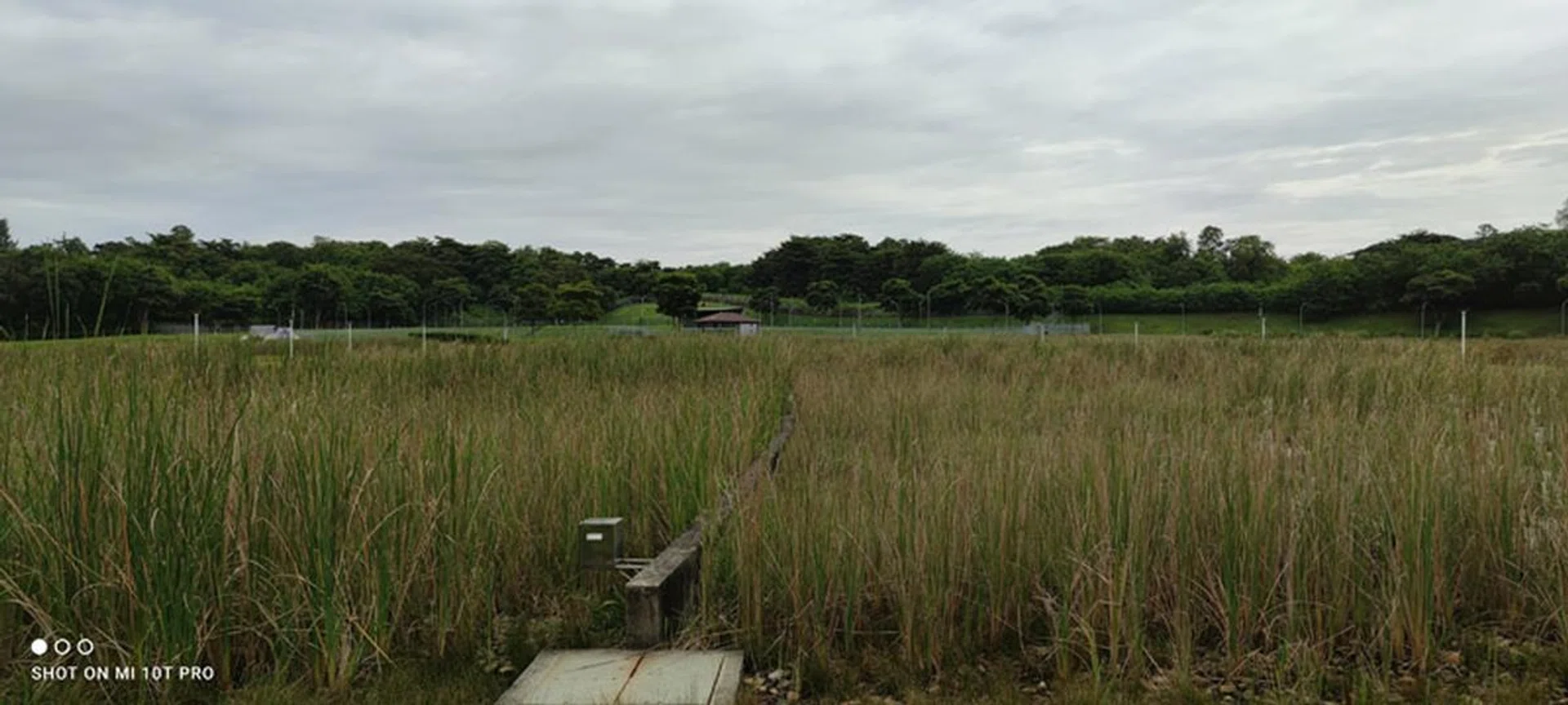 Default image settings and no zoom.