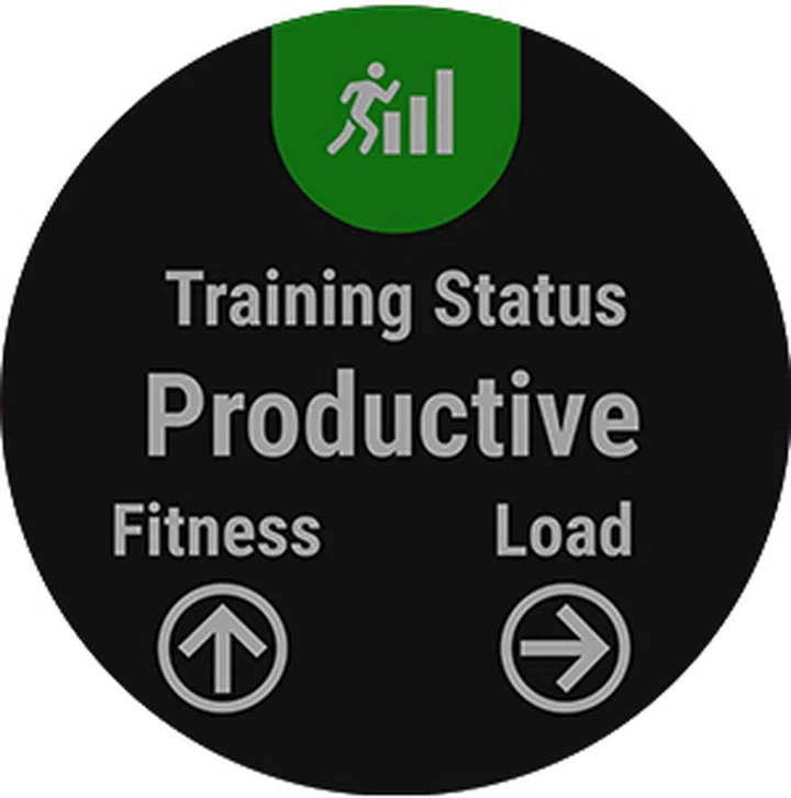 Training Status lets you know if your current program is increasing your fitness or not.