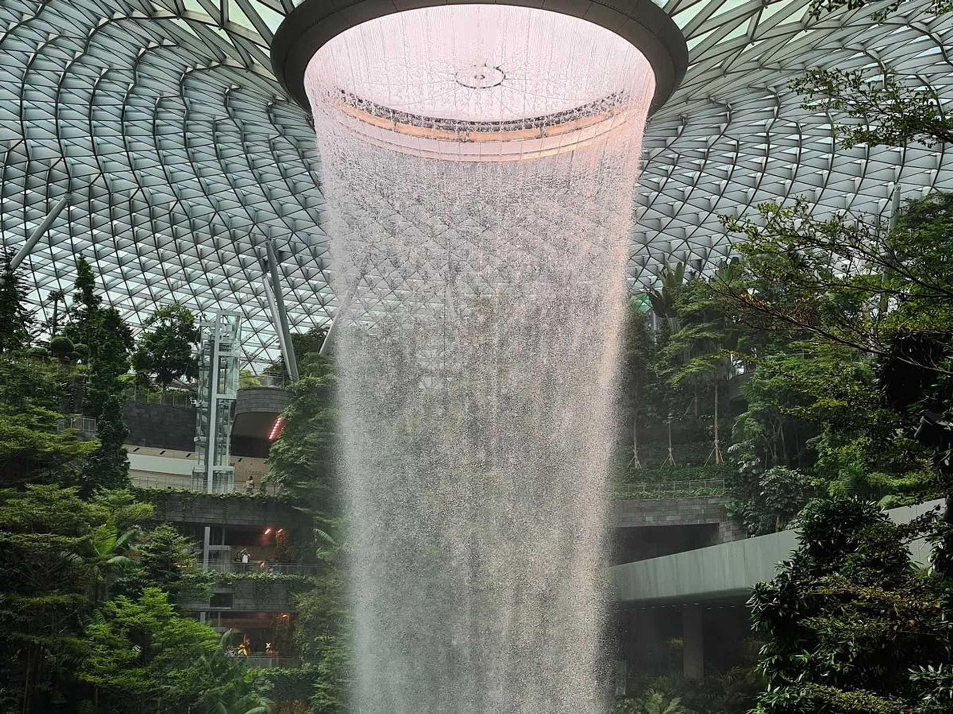 The Galaxy S20/S20+ produced the more pleasing image of all three as far as saturation and tonality were concerned. The green cast on the roof glass panes is a faithful reproduction.