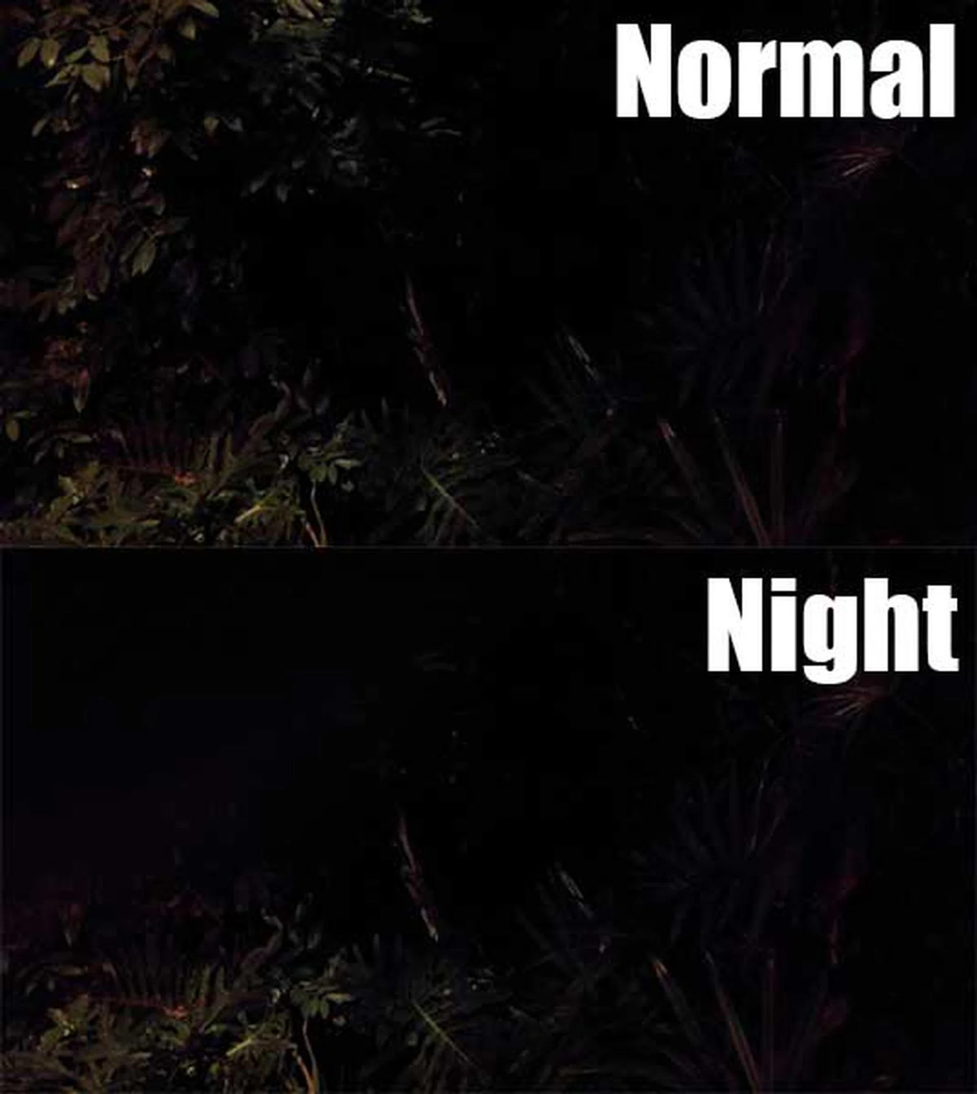 It's interesting that the Desire 816 captures better images in Auto Mode than Night Mode in this comparison.