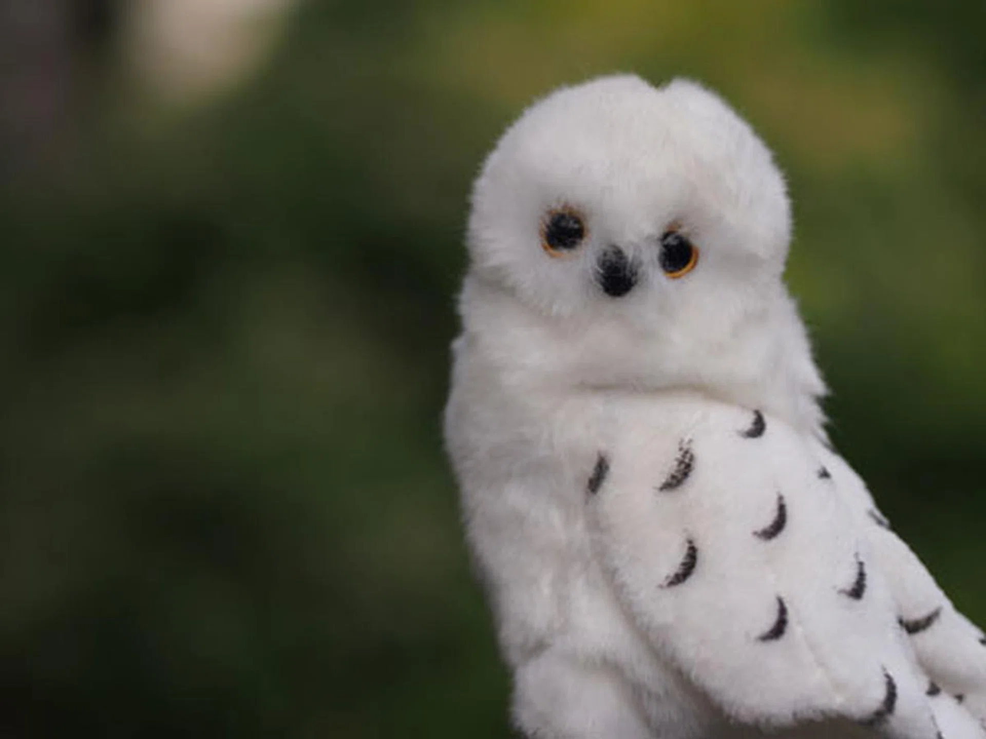 f/1.8 at 90mm (35mm equivalent).