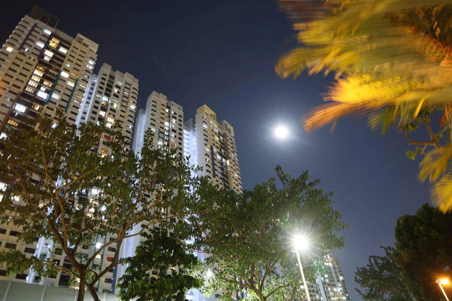 The only movement in this photo is the leaves swaying to the wind. Shooting info: 24mm at f/4, 3.2s, ISO 400 Photo: HWZ
