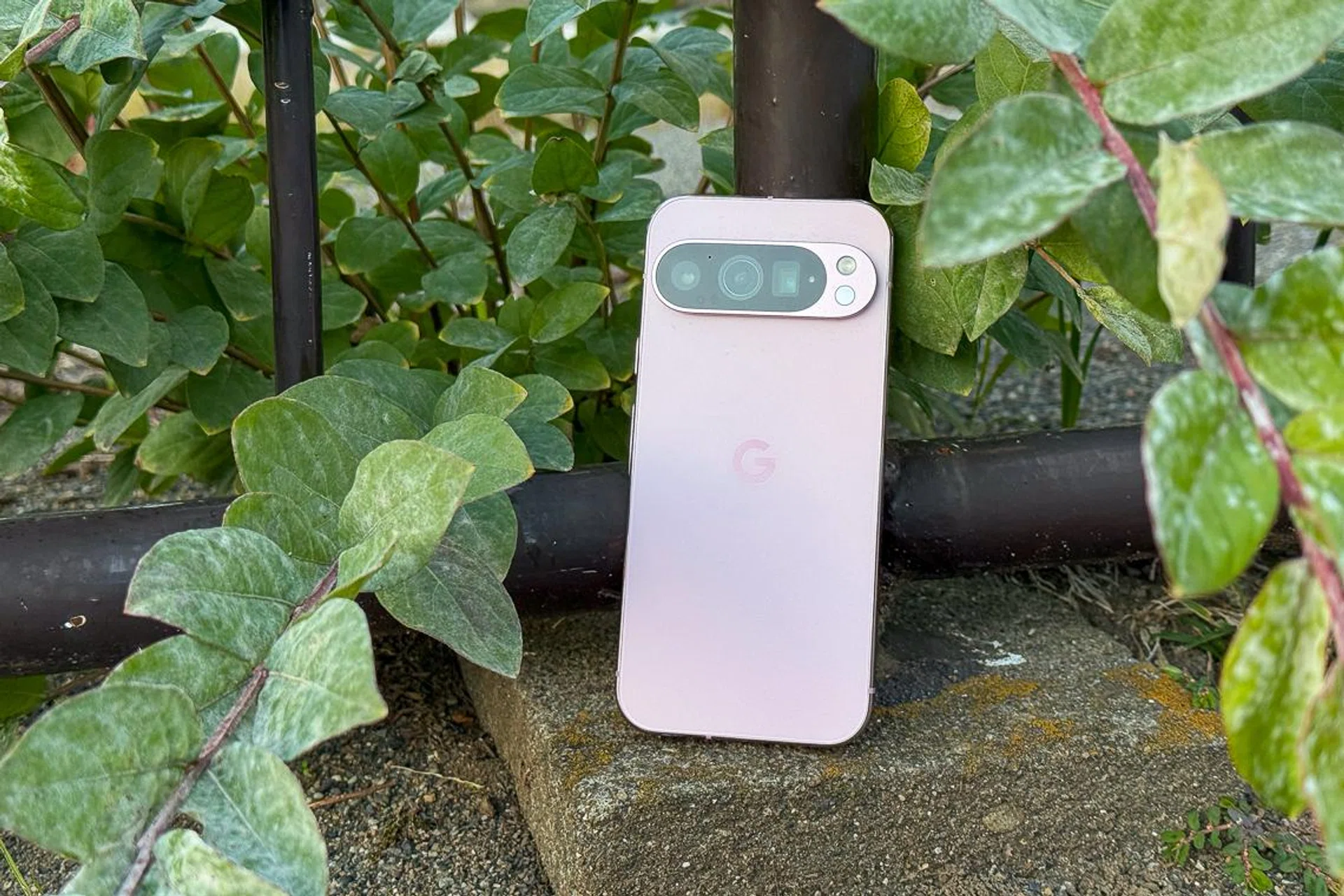 Google Pixel 9 Pro. Photo: HWZ.