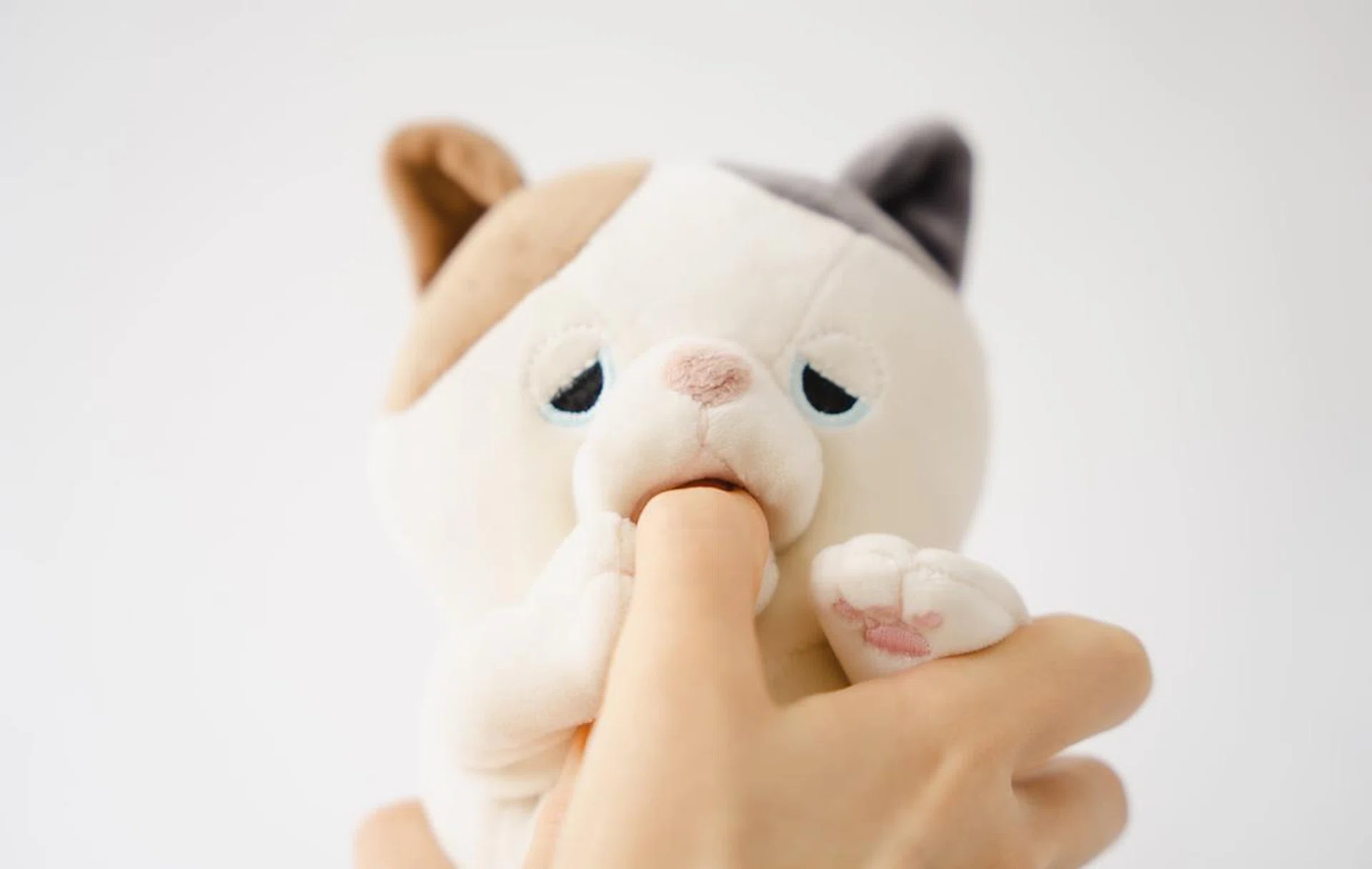 Amagami Ham Ham. Source: Yukai Engineering's FB page.