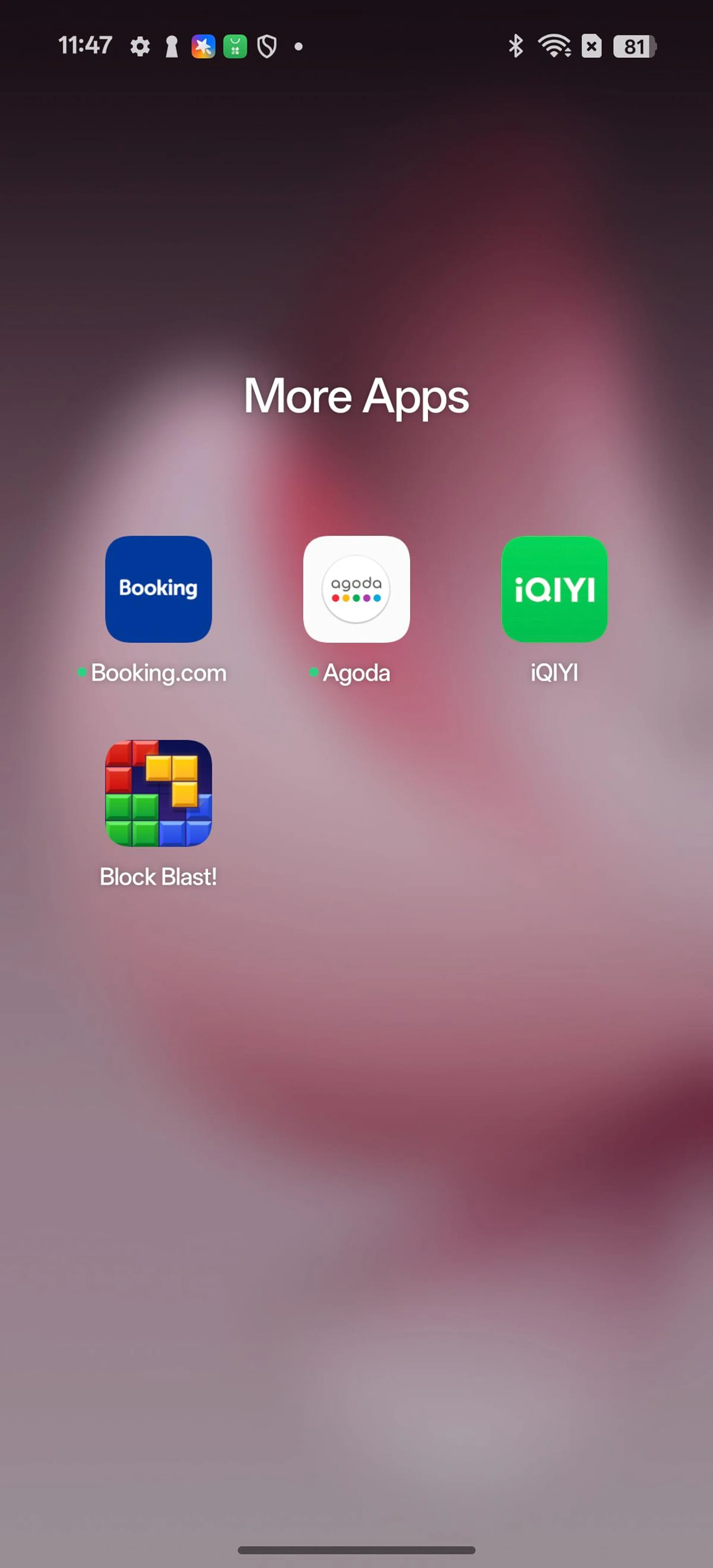 More bloatware. Photo: HWZ.