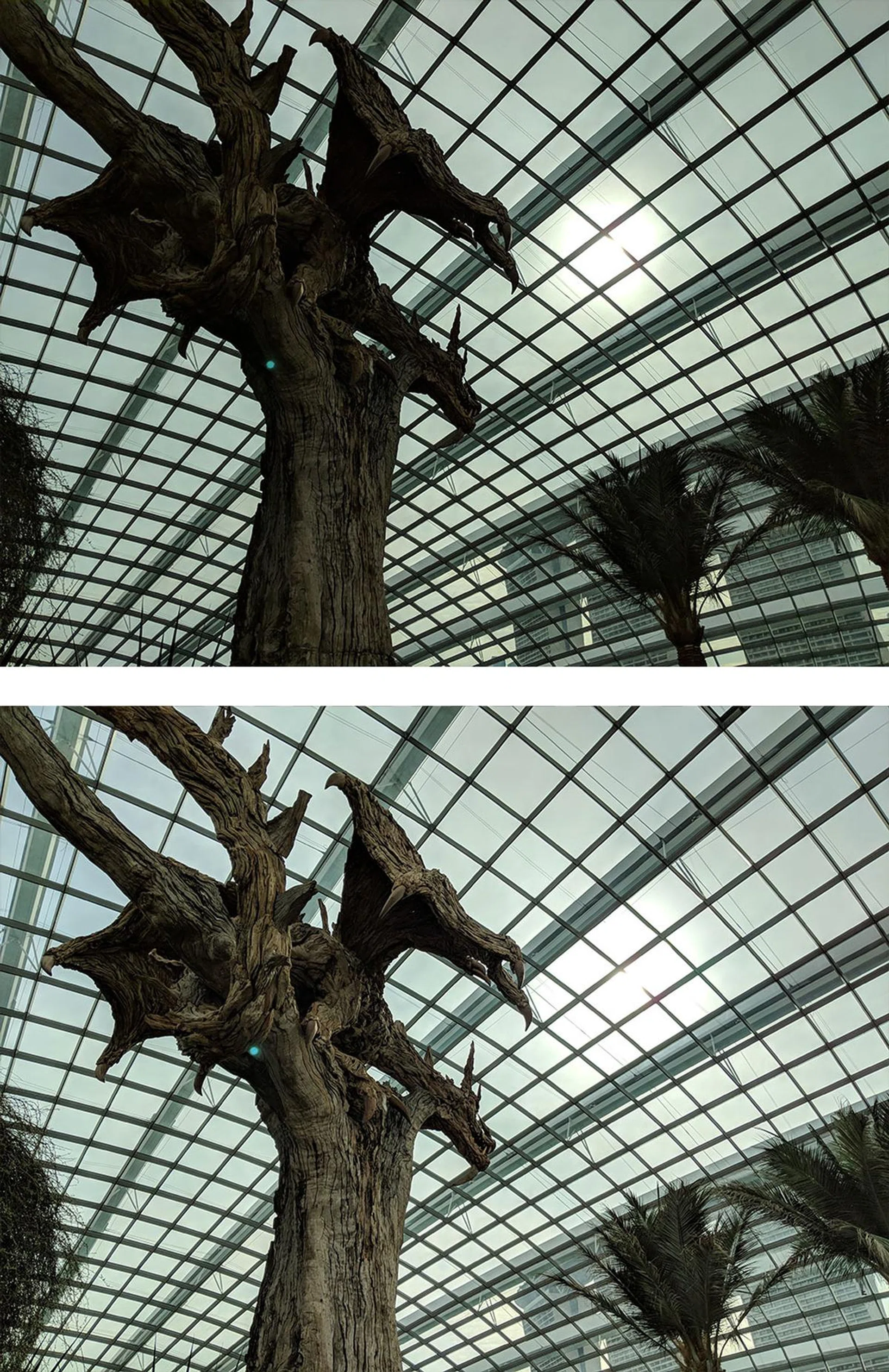 The Pixel 2 thought the top image was a properly exposed HDR image. I had to tap on the shadows to bring them back in the bottom photo.