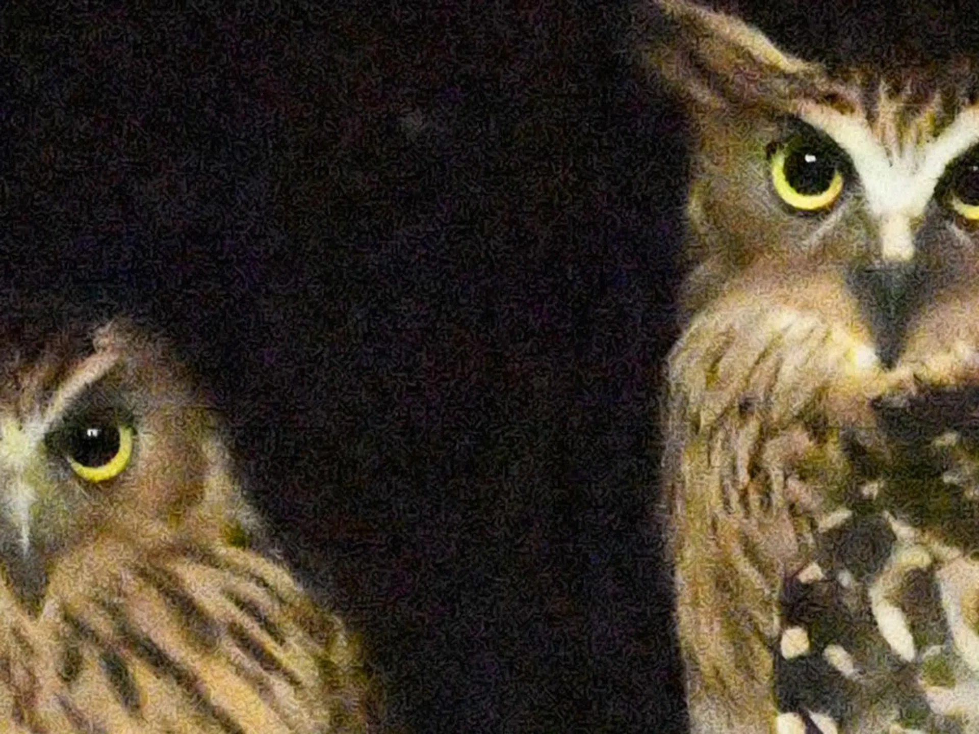 100% crop, D5.