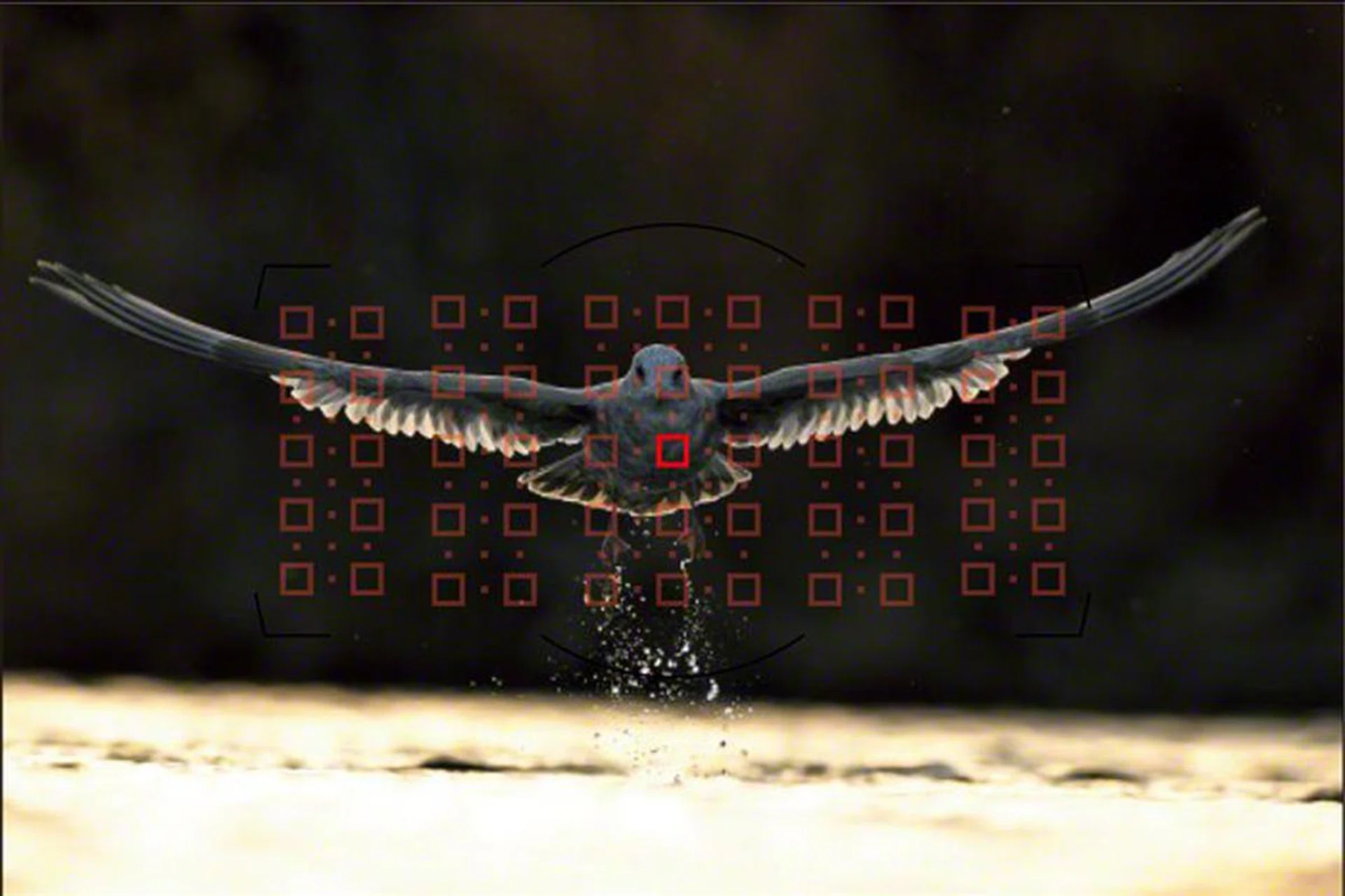 The spread of 153 AF points on the D5 is obviously very wide.