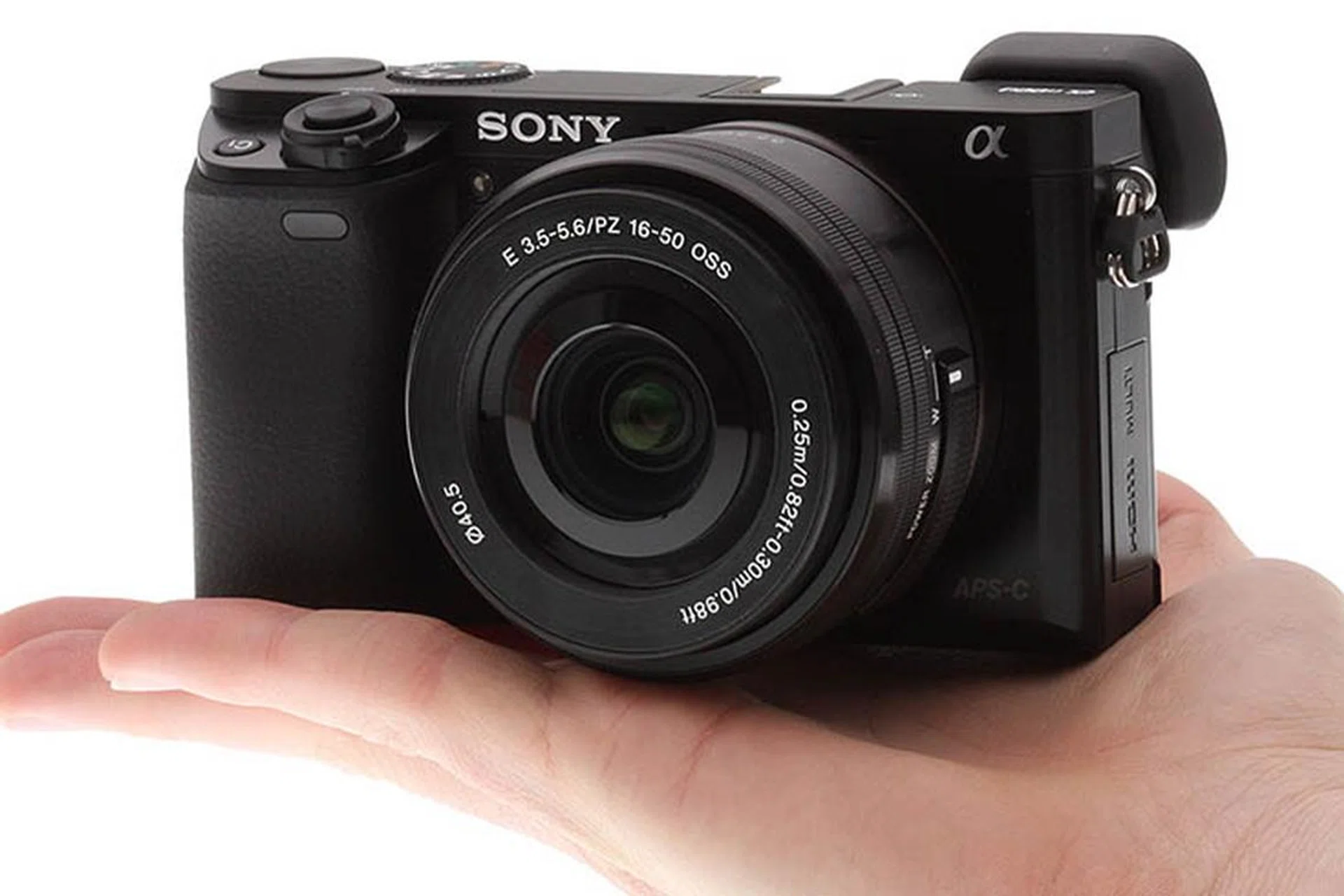 The Sony Alpha 6000 is a solid mirrorless camera for casual and even advanced users.