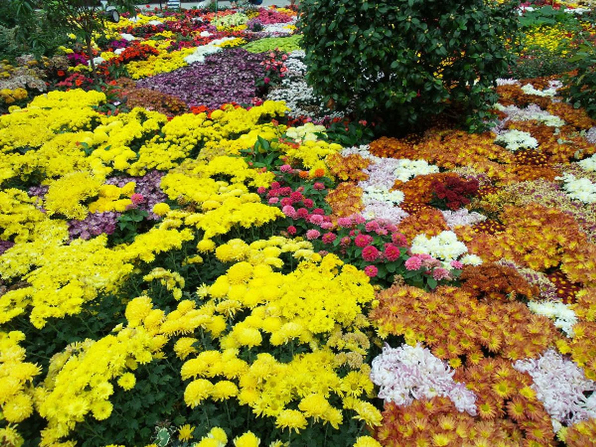 The S4 Zoom performs pretty well for a smartphone, with exposure turning out pretty accurate most of the time. 