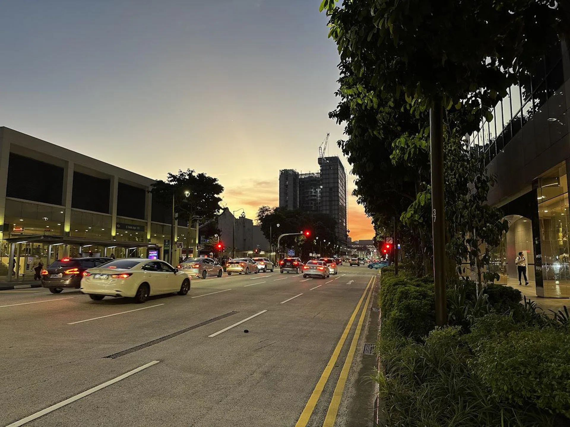 Shot on iPhone 14 Pro, Auto Mode, 1x default rear camera.