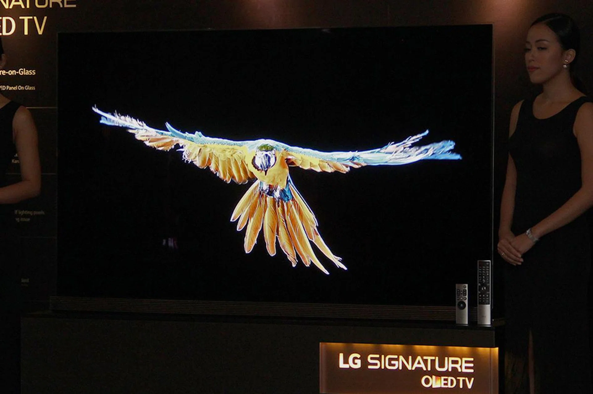 Note, I've brightened this photo a bit so that you can see the frame of the TV. In a controlled, dimmed viewing environment, the effect is scaringly realistic, thanks to OLED's super-deep blacks.