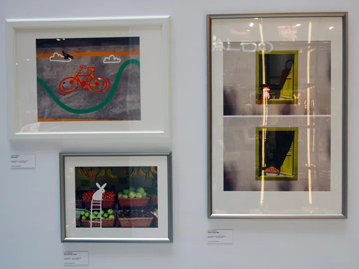 OLYMPUS DIGITAL CAMERA