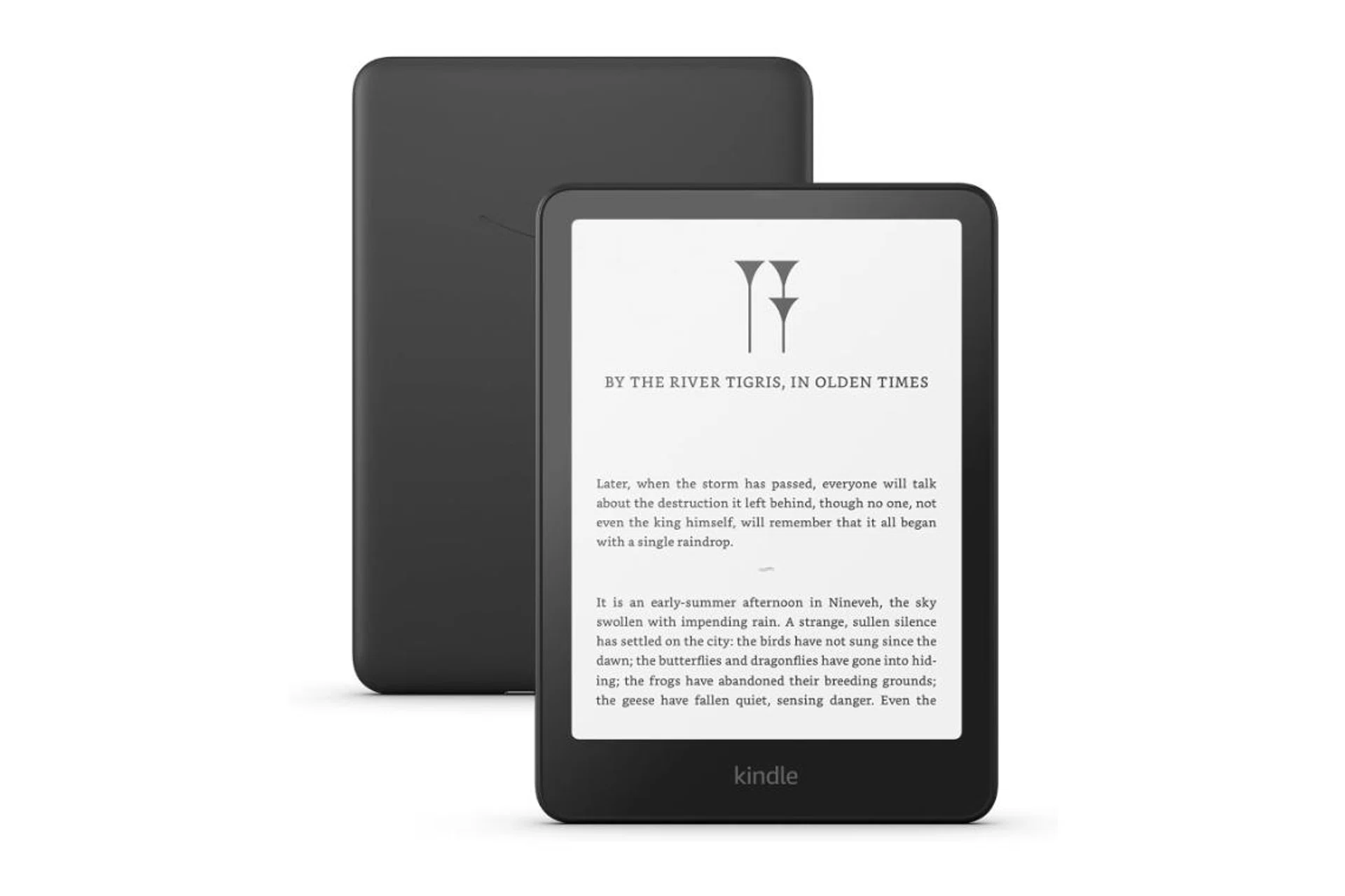 Amazon Kindle Paperwhite | Kobo or Kindle