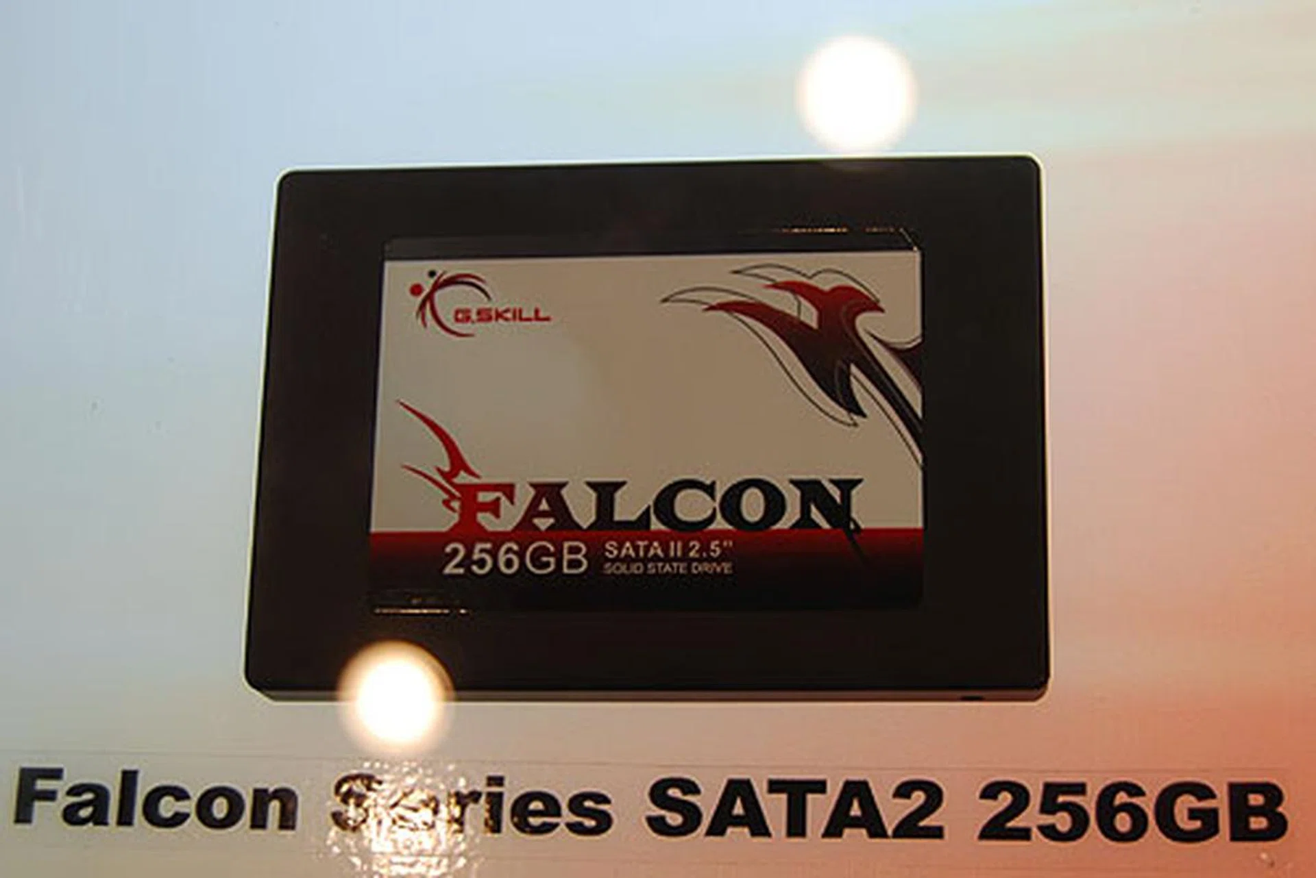  Besides producing memory modules, a sideline for flash memory manufacturers nowadays are solid state drives and the Falcon SSD here is G.Skill version. It comes with a 64MB memory buffer and available in 64GB, 128GB and 256GB capacities.  