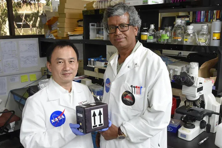 Clay Wang, a professor at USC School of Pharmacy, and Kasthuri "Venkat" Venkateswaran, senior research scientist at NASA's Jet Propulsion Laboratory. Image credit: Gus Ruelas