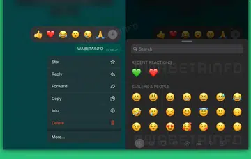 Image source: WABetaInfo