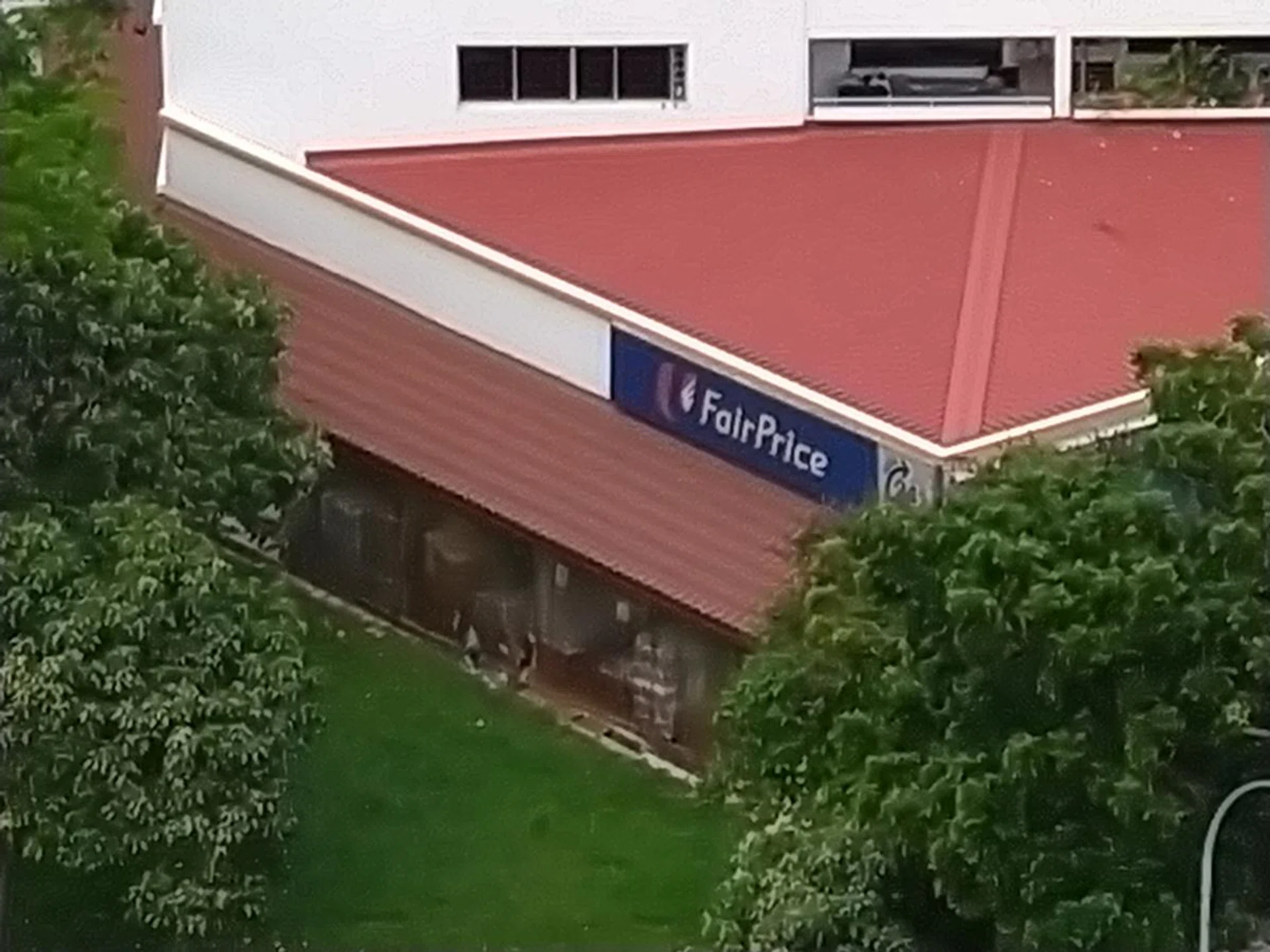 10x zoom from the same position.