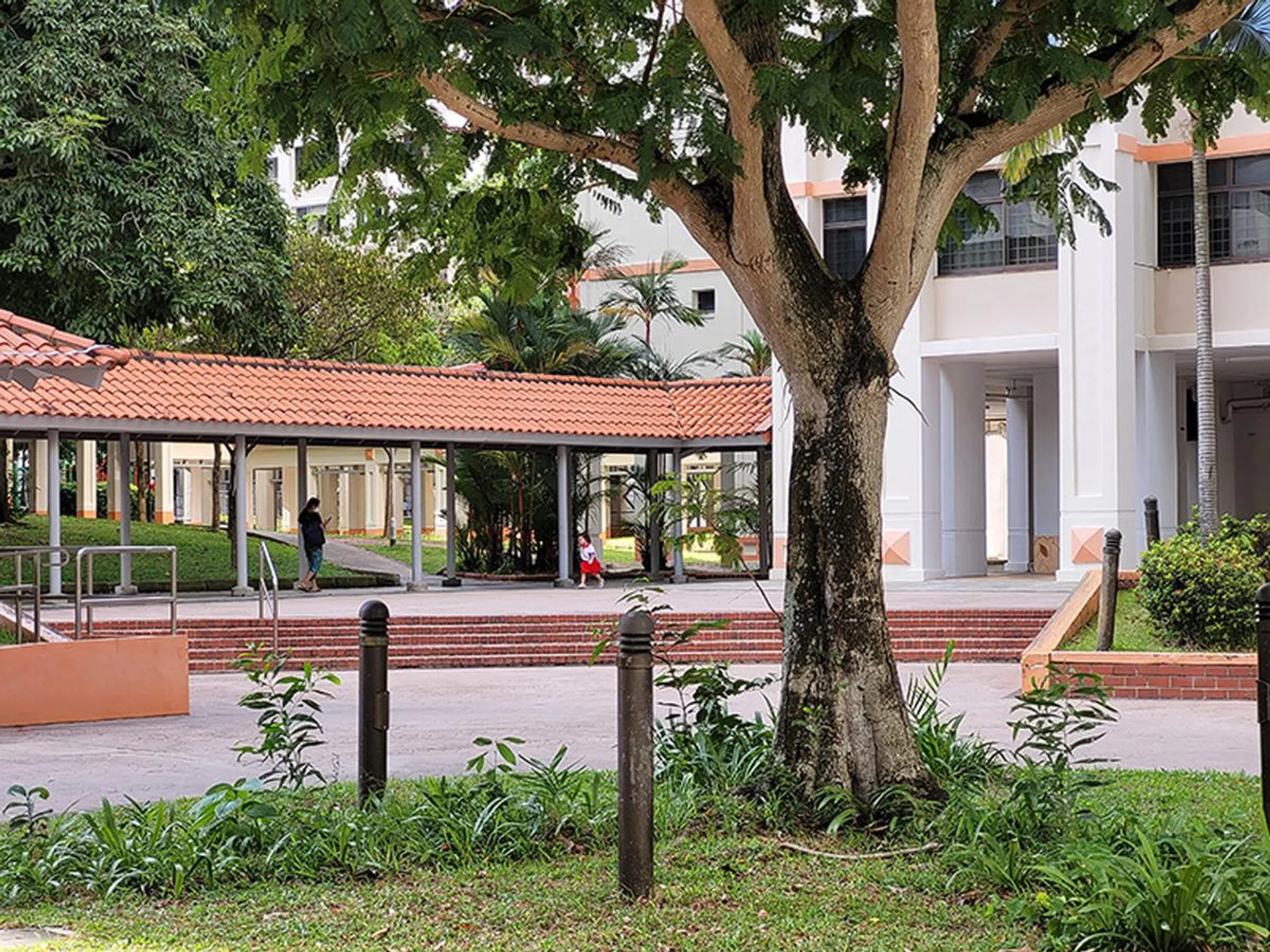 3x optical zoom, selected from menu.