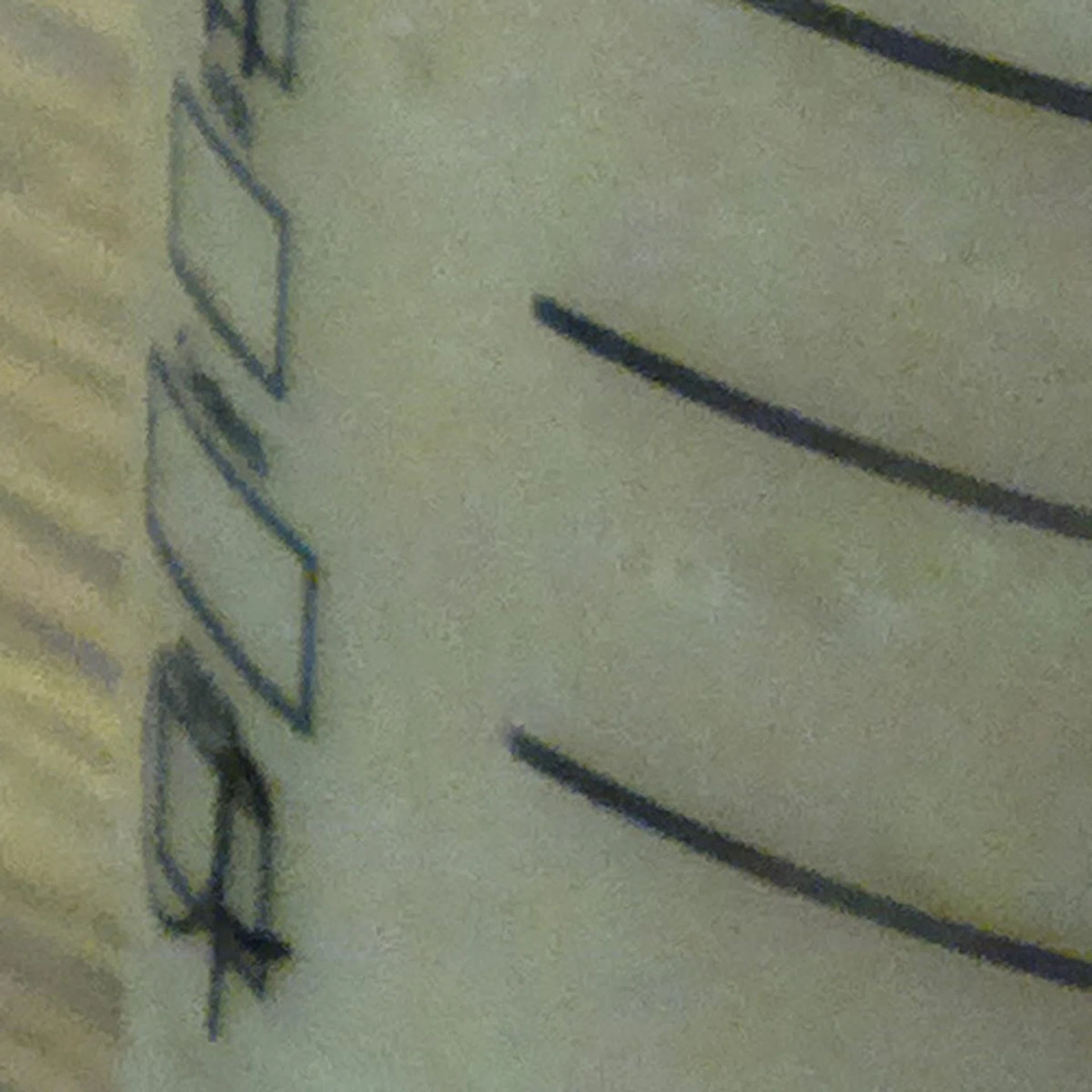 Taken from the higher resolution 38-megapixel image, you will notice noise is very much present in the 100% crop from the 808 PureView.