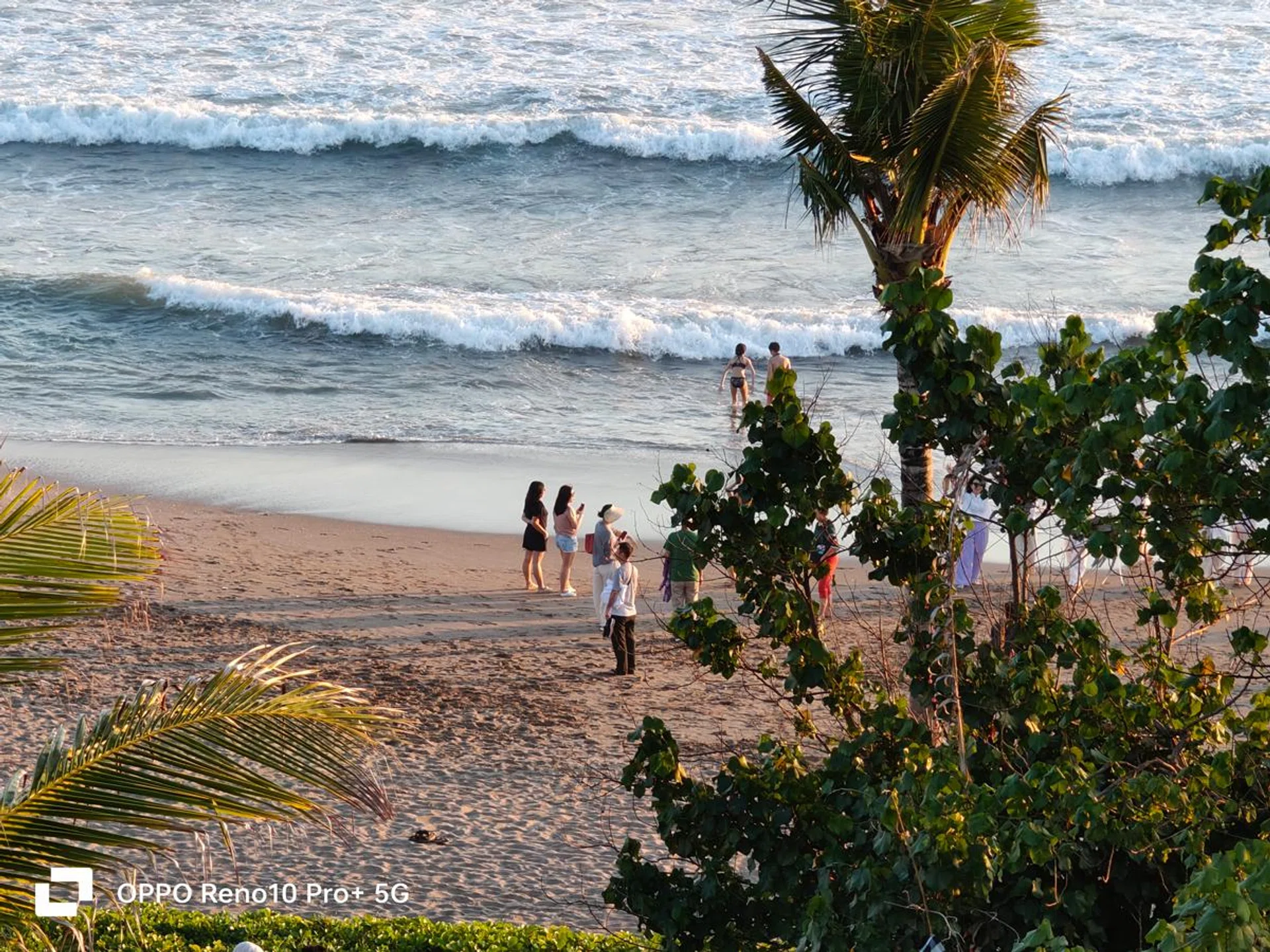 Telephoto camera, using 6x in-sensor crop zoom.