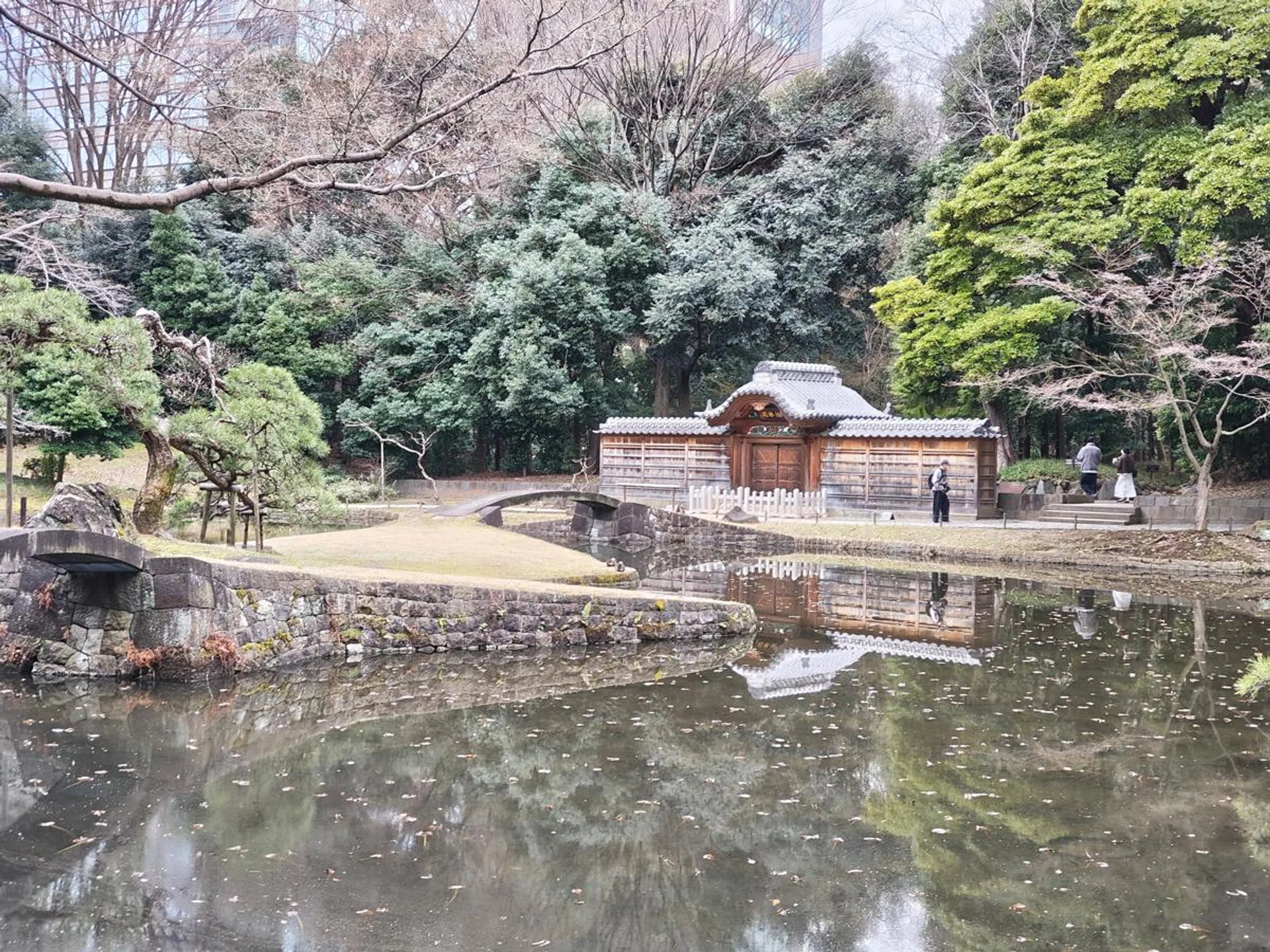 Nothing Phone (3a) 2x optical zoom. Photo: HWZ.