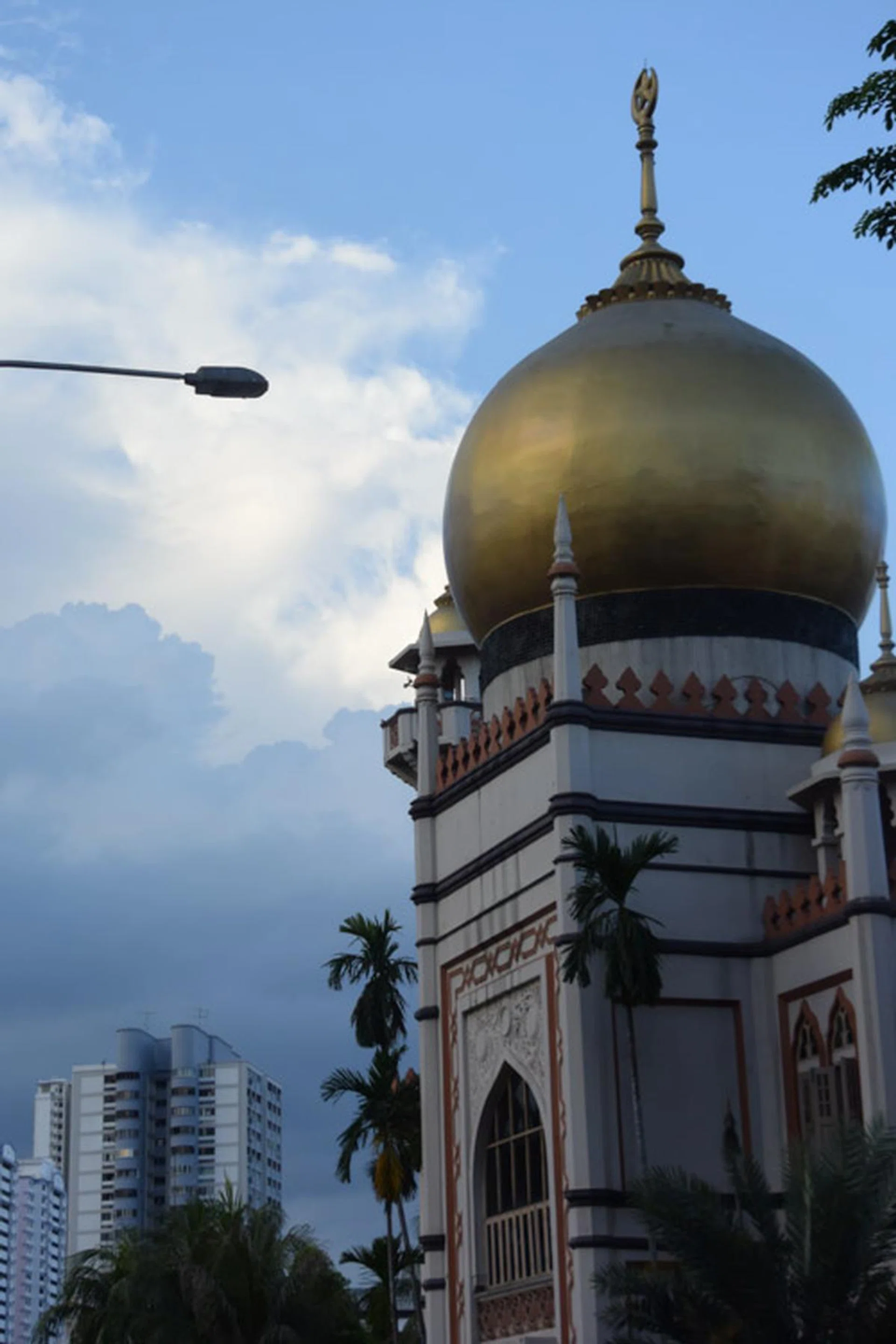 f/5.6 at 30mm, 1/500s, ISO 400