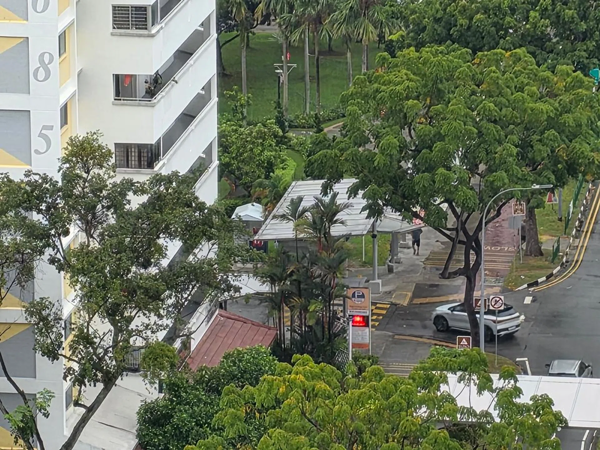 10x zoom. Photo: HWZ.