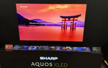 The 65-inch model is launching 1 June