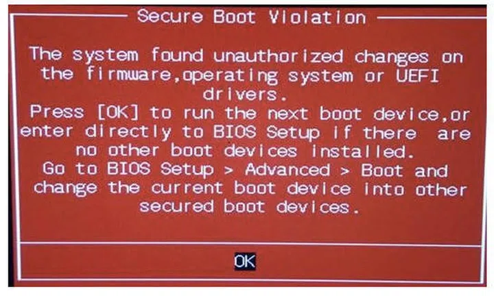 Here's the error message that some unfortunate users encountered. (Image Source: The Register)