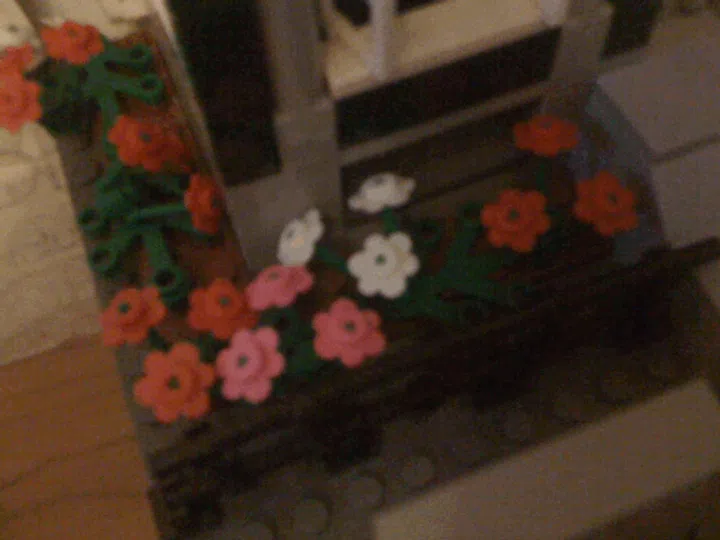 Taken with the iPhone 3G: Compared to the 3GS, the image here looks blurry and washed out.