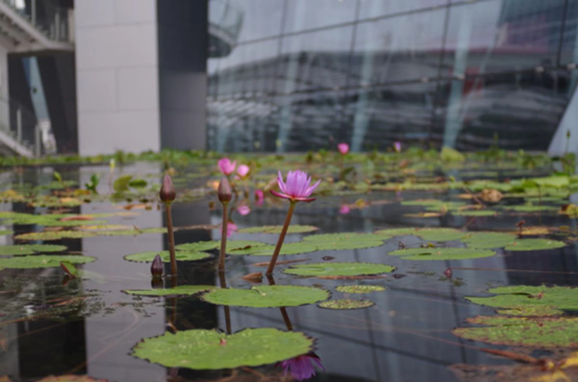 f2.8 at 60mm (35mm equivalent), 1/80 sec, ISO400